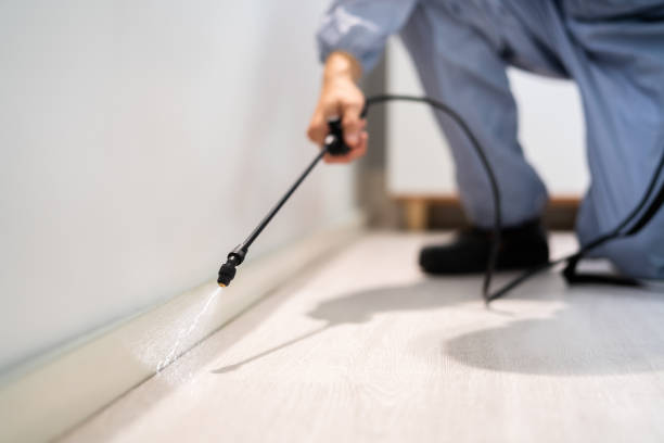 Licensed Termite Control service in Forreston, IL - Nex Pest Control