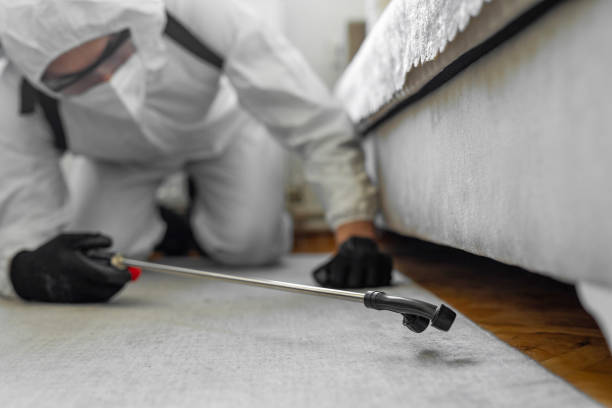 Professional Termite Control technician working in Forreston, IL