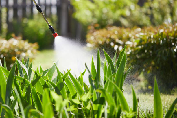 24/7 Emergency Termite Control experts in Forreston, IL
