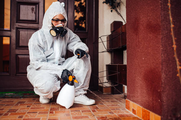 Reliable Termite Control contractor in Forreston, IL by Nex Pest Control